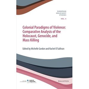 Colonial Paradigms of Violence