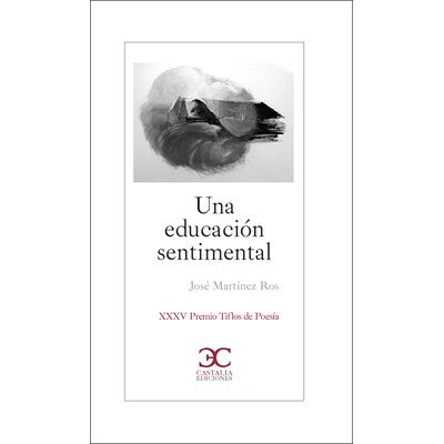 Una educación sentimental