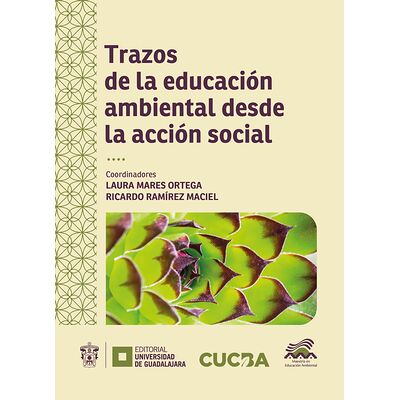 Trazos de la educación...