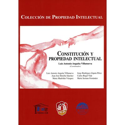 Constitución y propiedad...