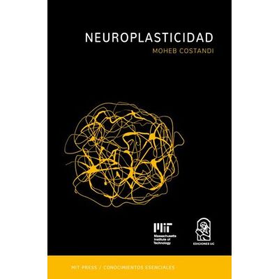 Neuroplasticidad