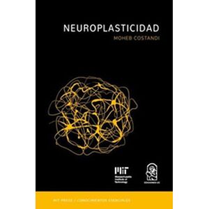 Neuroplasticidad