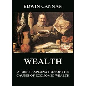 Wealth: A Brief Explanation...