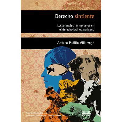 Derecho sintiente