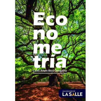 Econometría 