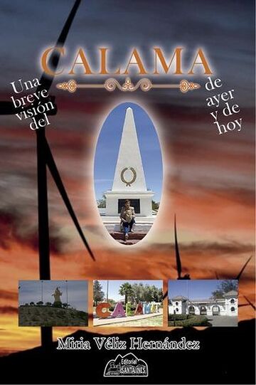 Una breve visión del Calama...