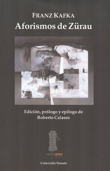 Aforismos de Zürau