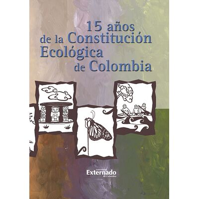 15 Años de la Constitución...