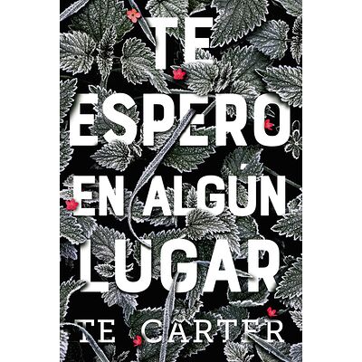 Te espero en algún lugar