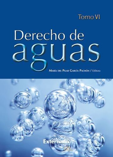 Derecho de Aguas Tomo VI