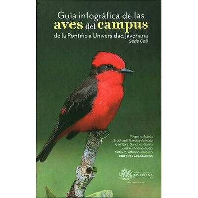 Guía infográfica de las...