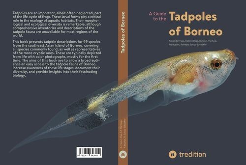 A Guide to the Tadpoles of...