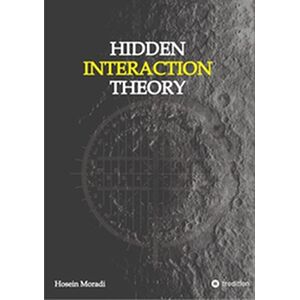 Hidden Interaction Theory