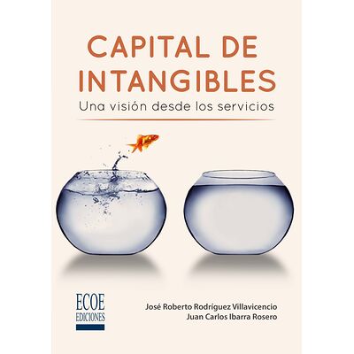 Capital de intangibles