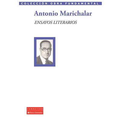 Ensayos literarios