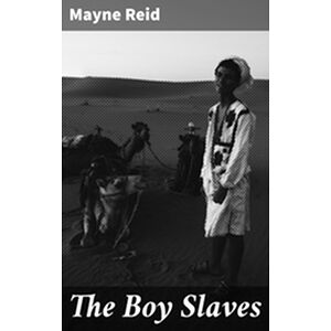 The Boy Slaves