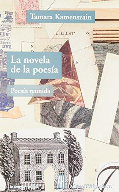 Portada de NOVELA DE LA POESIA, LA de KAMENSZAIN, Tamara