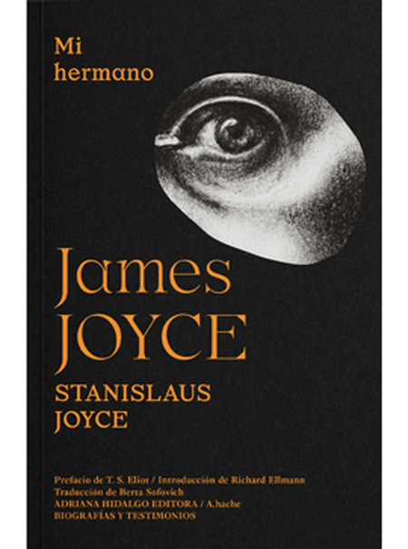 Portada de MI HERMANO JAMES JOYCE
