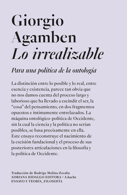 Portada de LO IRREALIZABLE PARA UNA POLITICA DE LA ONTOLOGIA