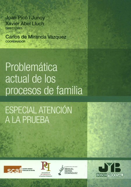 Portada de PROBLEMATICA ACTUAL DE LOS PROCESOS DE FAMILIA. ESPECIAL ATENCION A LA PRUEBA