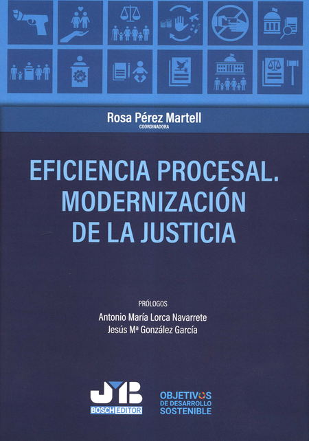 Portada de EFICIENCIA PROCESAL MODERNIZACION DE LA JUSTICIA