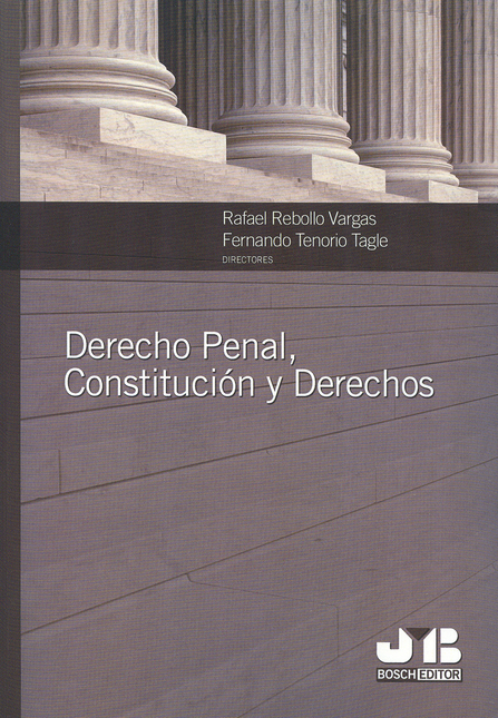 Portada de DERECHO PENAL CONSTITUCION Y DERECHOS