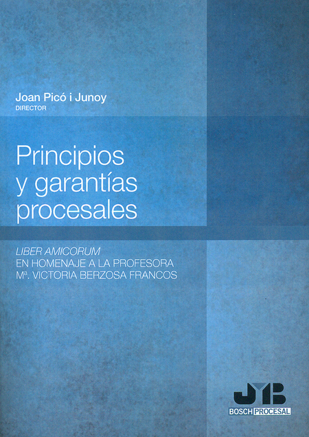 Portada de PRINCIPIOS Y GARANTIAS PROCESALES LIBER AMICORUM EN HOMENAJE A LA PROFESORA Mª VICTORIA BERZOSA FRANCOS