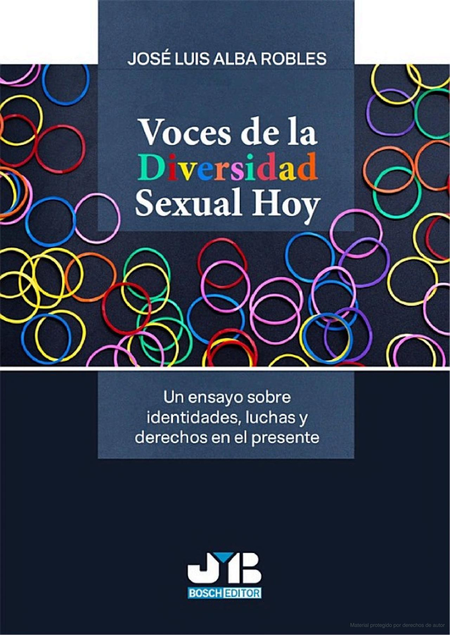 Portada de VOCES DE LA DIVERSIDAD SEXUAL HOY UN ENSAYO SOBRE IDENTIDADES, LUCHAS Y DERECHOS EN EL PRESENTE