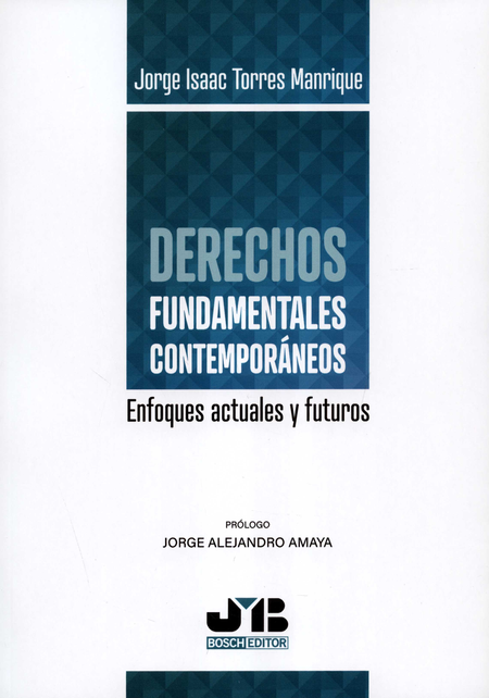 Portada de DERECHOS FUNDAMENTALES CONTEMPORANEOS ENFOQUES ACTUALES Y FUTUROS
