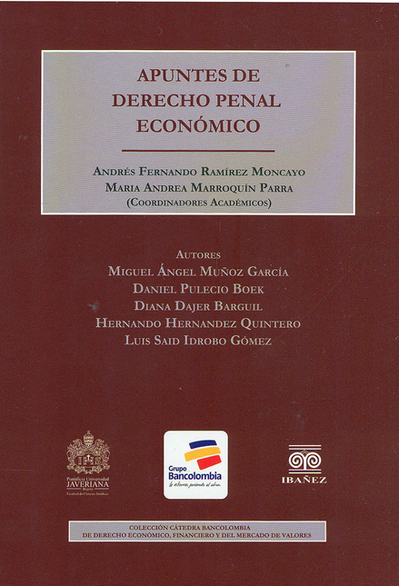 Portada de APUNTES DE DERECHO PENAL ECONOMICO