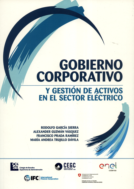 Portada de GOBIERNO CORPORATIVO Y GESTION DE ACTIVOS EN EL SECTOR ELECTRICO