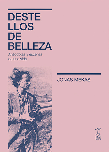 Portada de DESTELLOS DE BELLEZA ANECDOTAS Y ESCENAS DE UNA VIDA