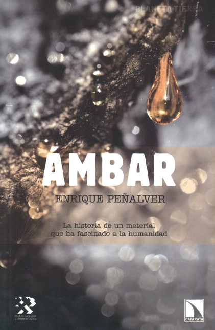 Portada de AMBAR de PEÑALVER, Enrique