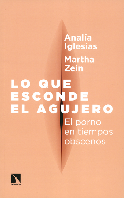 Portada de LO QUE ESCONDE EL AGUJERO. EL PORNO EN TIEMPOS OBSCENOS