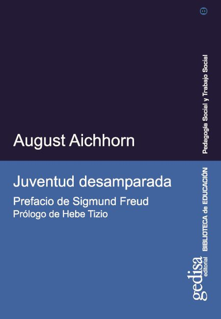 Portada de JUVENTUD DESAMPARADA