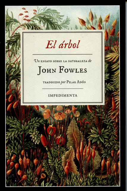 Portada de ARBOL, EL