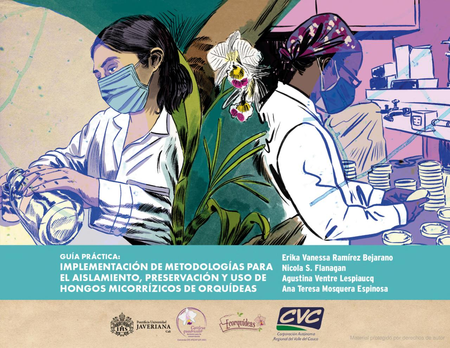 Portada de GUIA PRACTICA IMPLEMENTACION DE METODOLOGIAS PARA EL AISLAMIENTO PRESERVACION Y USO DE HONGOS MICORRIZICOS DE