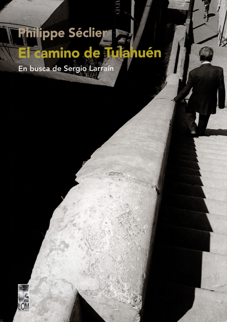 Portada de CAMINO DE TULAHUEN. EN BUSCA DE SERGIO LARRAIN, EL