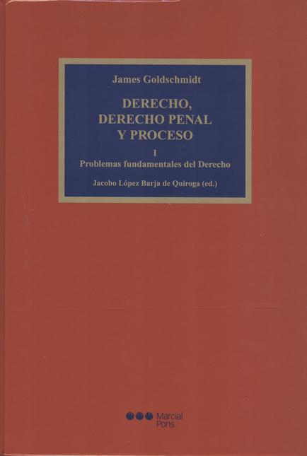 Portada de DERECHO DERECHO PENAL Y PROCESO I. PROBLEMAS FUNDAMENTALES DEL DERECHO (L)