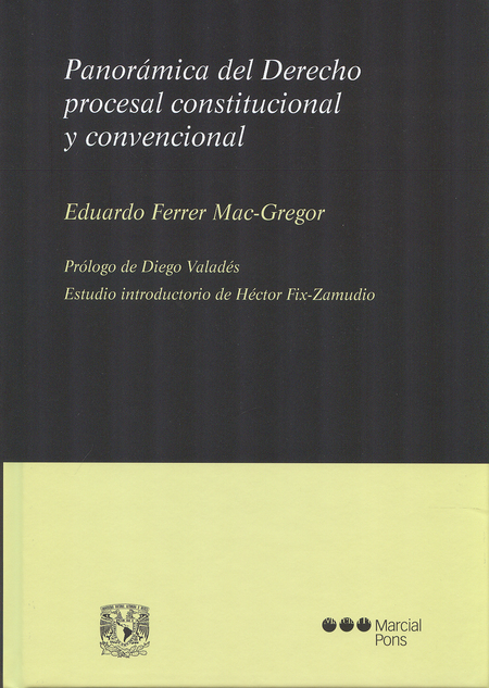 Portada de PANORAMICA DEL DERECHO PROCESAL CONSTITUCIONAL Y CONVENCIONAL