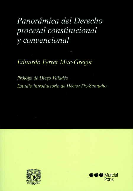 Portada de PANORAMICA DEL DERECHO PROCESAL CONSTITUCIONAL Y CONVENCIONAL