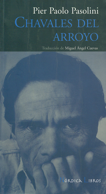 Portada de CHAVALES DEL ARROYO