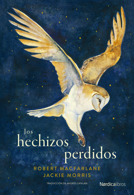Portada de HECHIZOS PERDIDOS, LOS