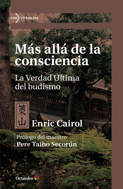 Portada de MAS ALLA DE LA CONSCIENCIA LA VERDAD ULTIMA DEL BUDISMO