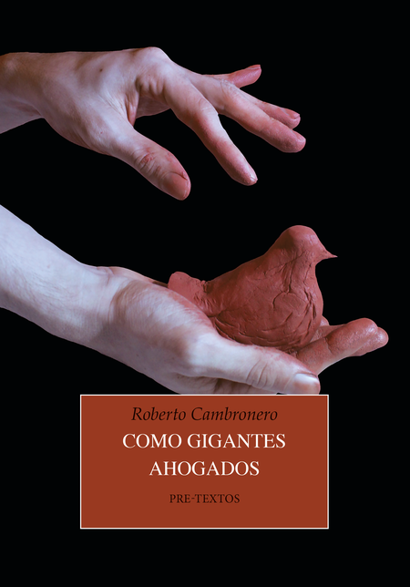Portada de COMO GIGANTES AHOGADOS