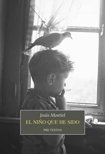 Portada de NIÑO QUE HE SIDO, EL