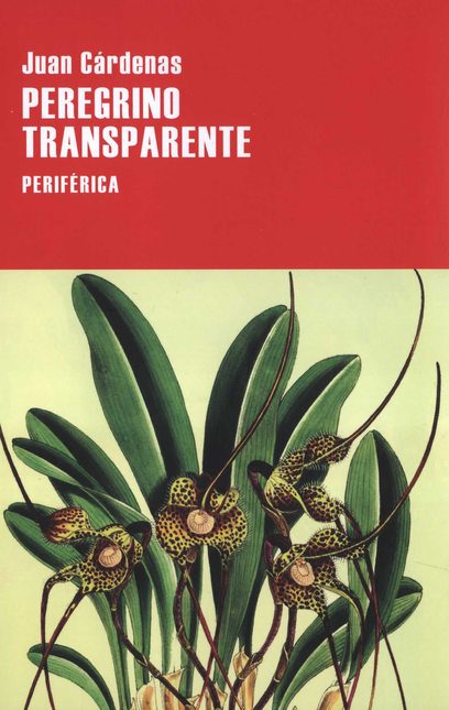 Portada de PEREGRINO TRANSPARENTE