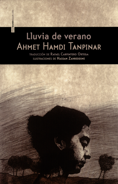 Portada de LLUVIA DE VERANO