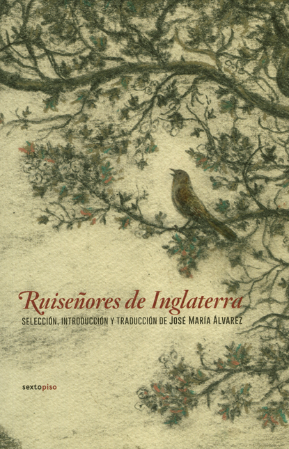 Portada de RUISEÑORES DE INGLATERRA
