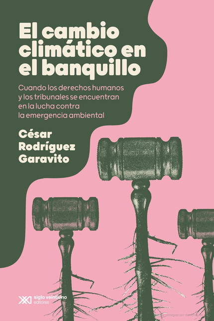 Portada de CAMBIO CLIMATICO EN EL BANQUILLO CUANDO LOS DERECHOS HUMANOS Y LOS TRIBUNALES SE ENCUENTRAN, EL